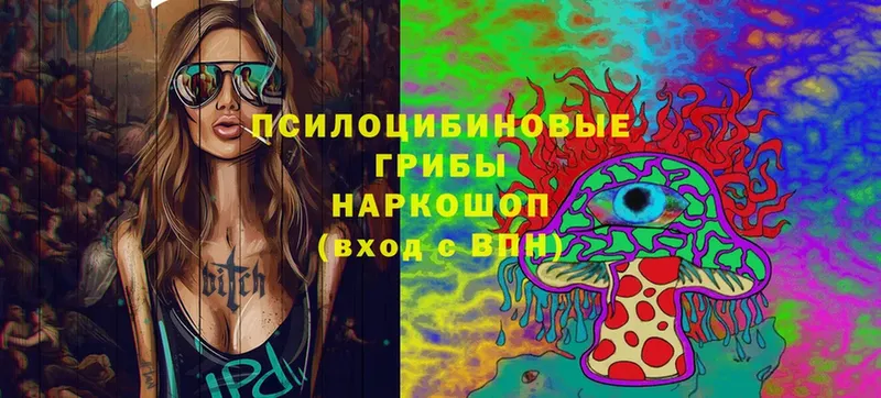 Псилоцибиновые грибы мицелий  Новоаннинский 